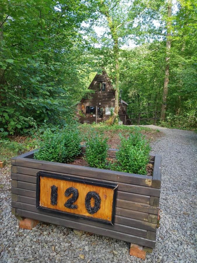 De Bosdriehoek II Durbuy Exteriör bild