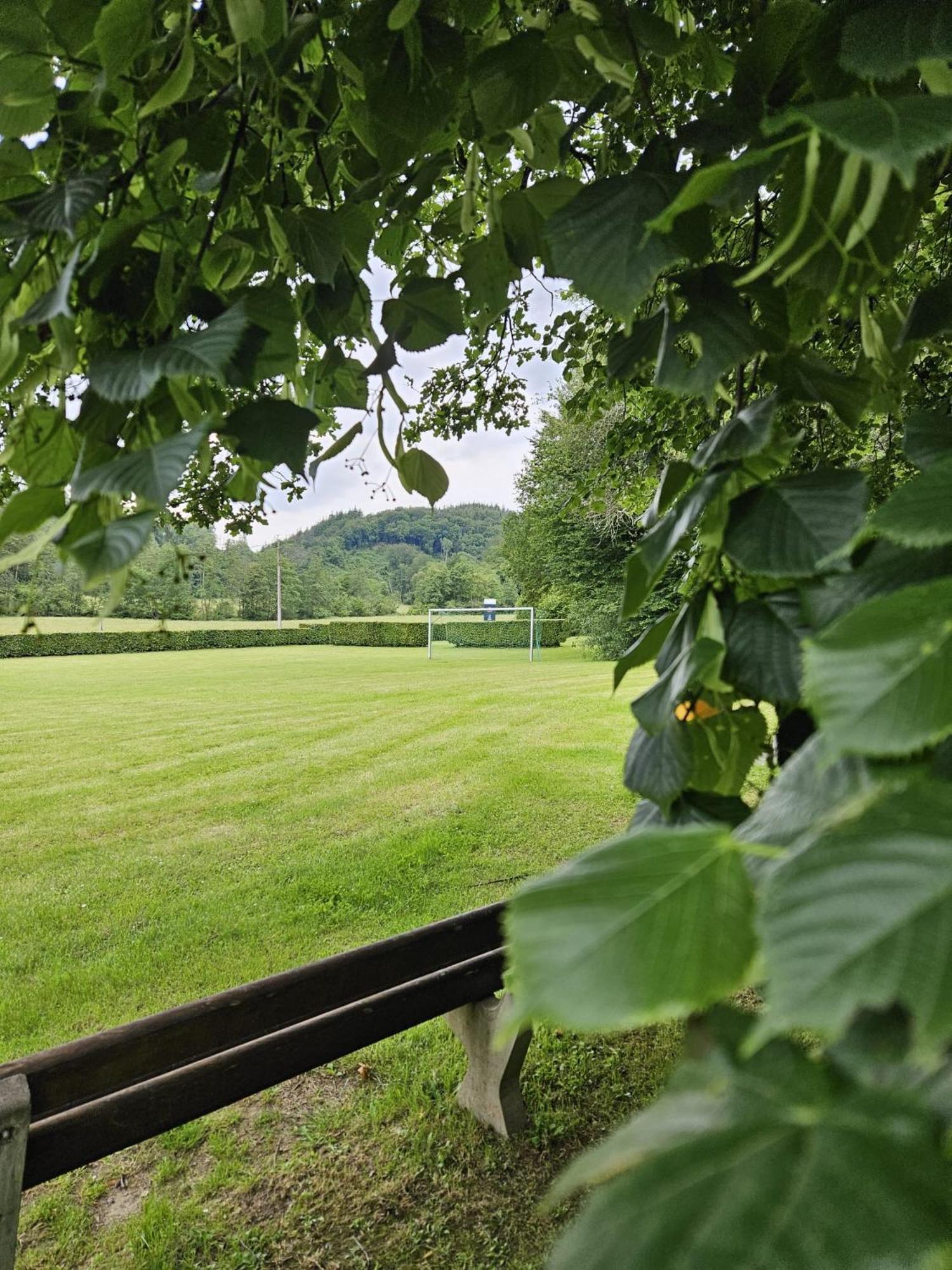 De Bosdriehoek II Durbuy Exteriör bild